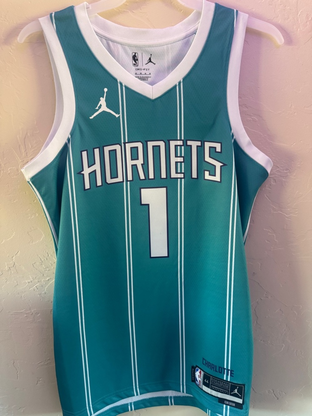 NBA Charlotte Hornets Teal and White Basketball Jersey by Jordan